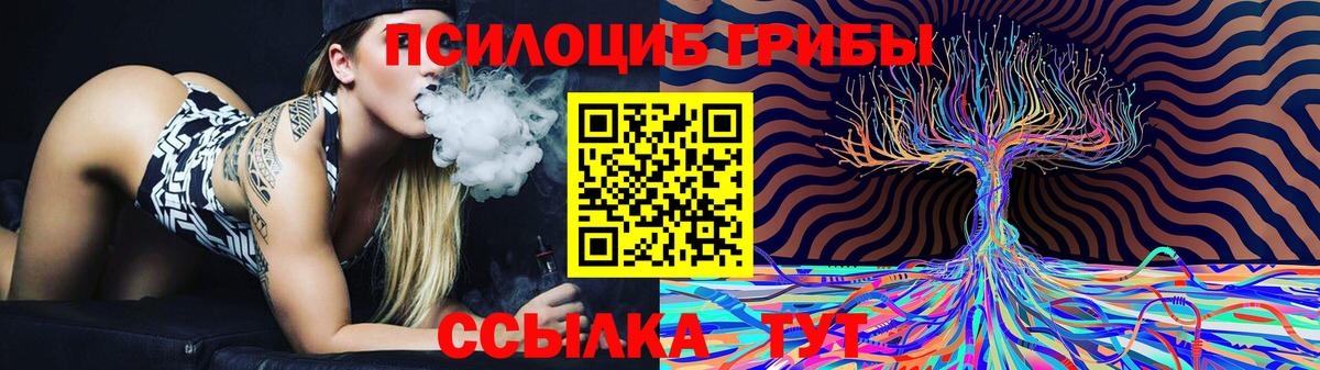 как найти наркотики  Вход с VPN  Гагарин  Псилоцибиновые грибы GOLDEN TEACHER 