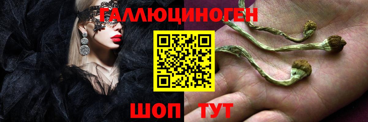 Псилоцибиновые грибы мицелий Гагарин